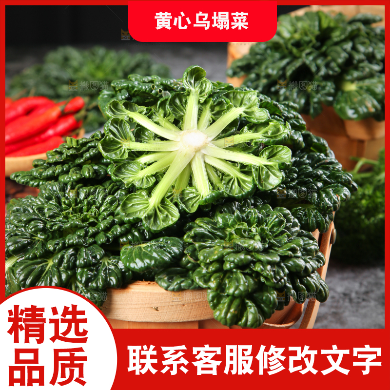 篮子里装着乌塌菜
