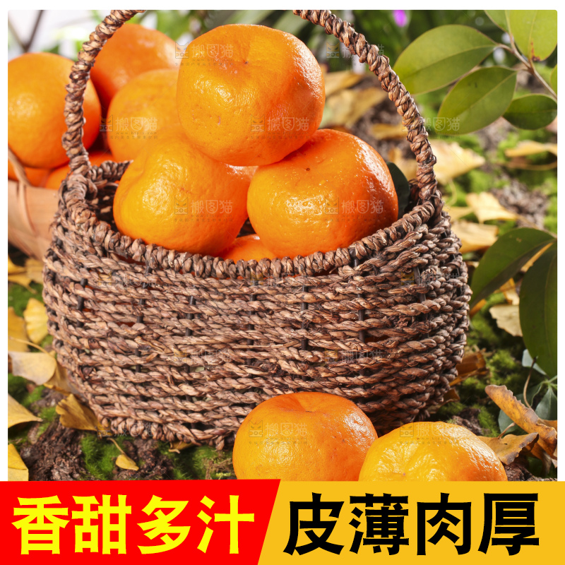 篮子里装着新鲜芦柑