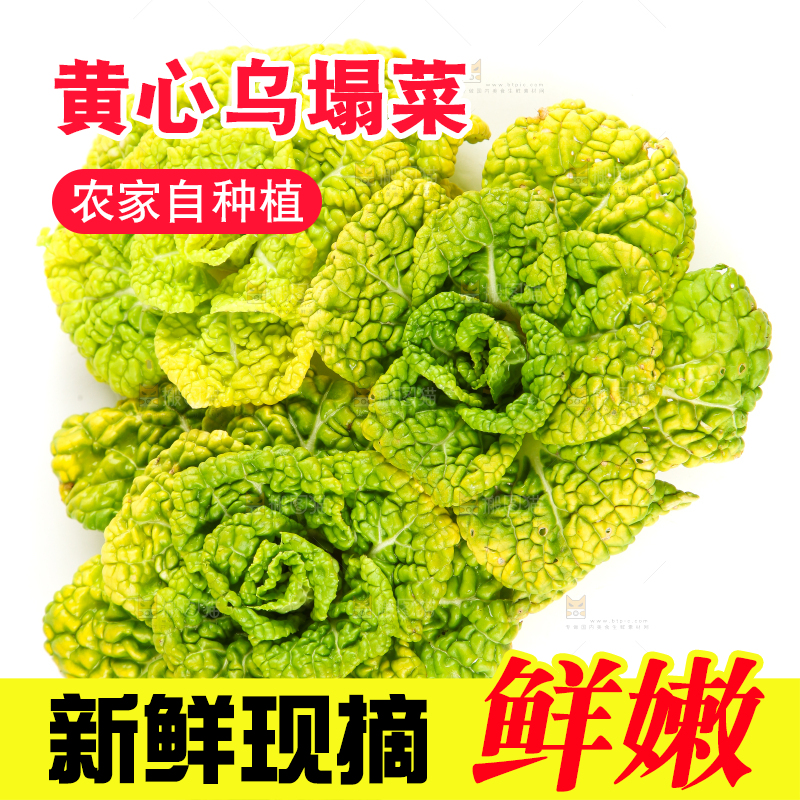 白底上摆放着黄心白菜