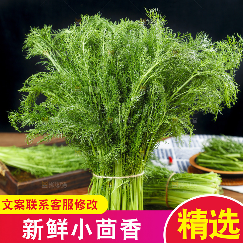 木板上的土茴香