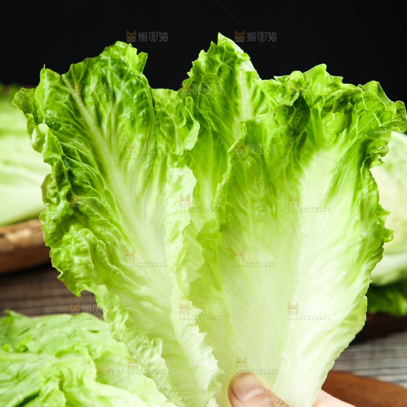 手里拿着生菜