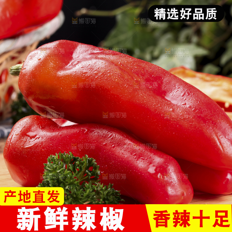 木板上摆放着山东红辣椒