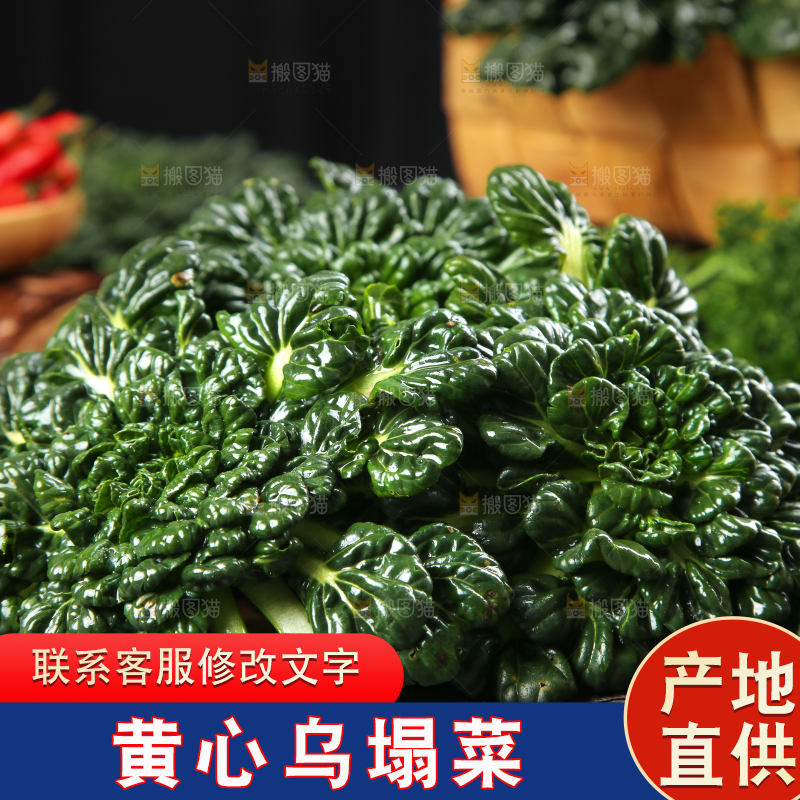 木板上放着菊花菜