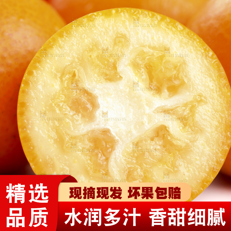 白底上的阳朔脆皮金桔