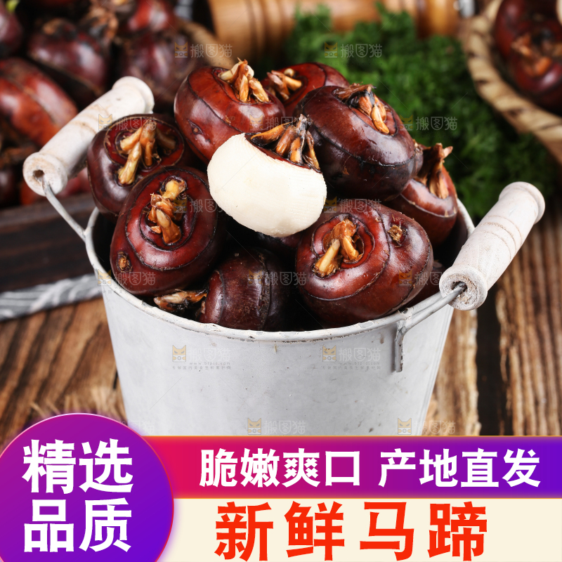 桶子里装着菩荠