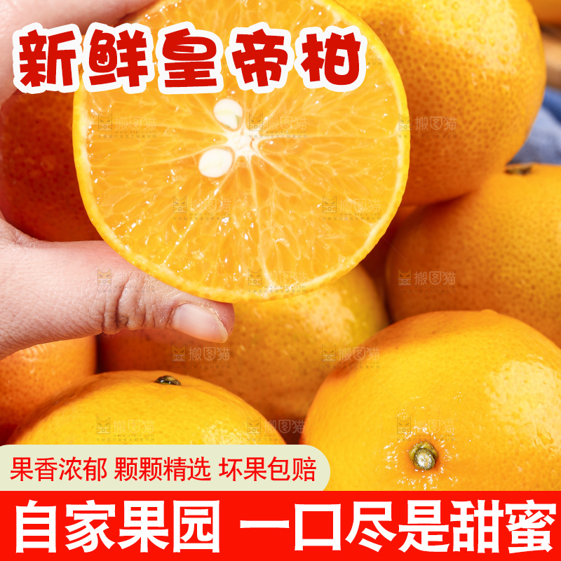手拿切开的皇帝柑