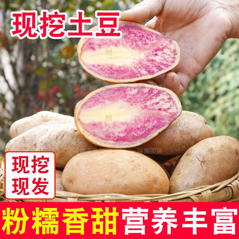 手里拿着彩色土豆