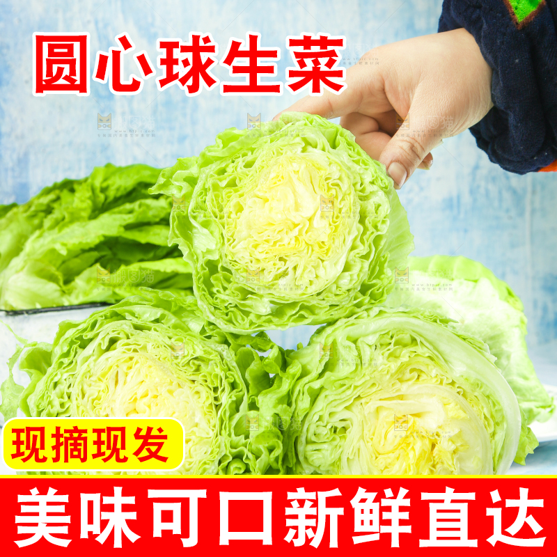 盘子里装着球生菜