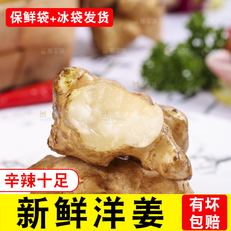 石板上放着菊姜
