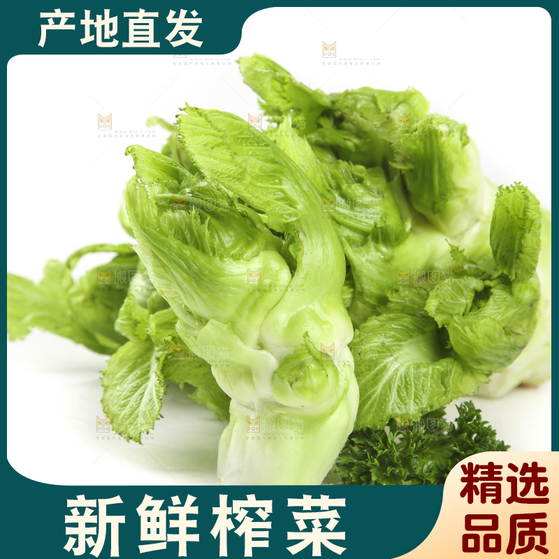 白底上的大头菜疙瘩