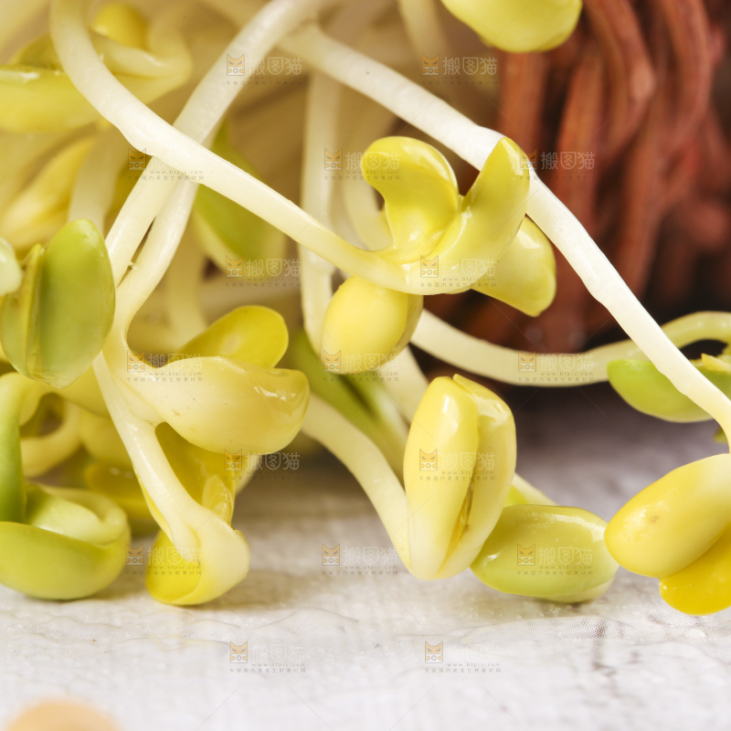 篮子里装着豆芽