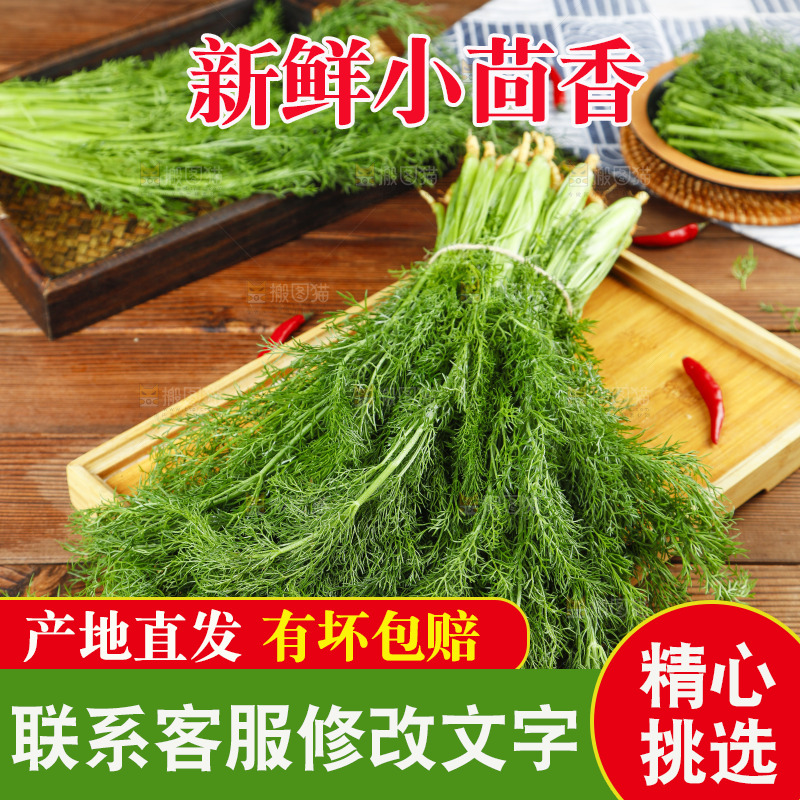 木板上的土茴香