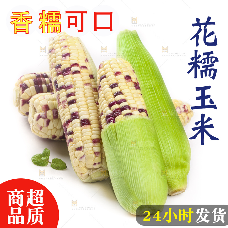 剥皮的花糯玉米放在白底上