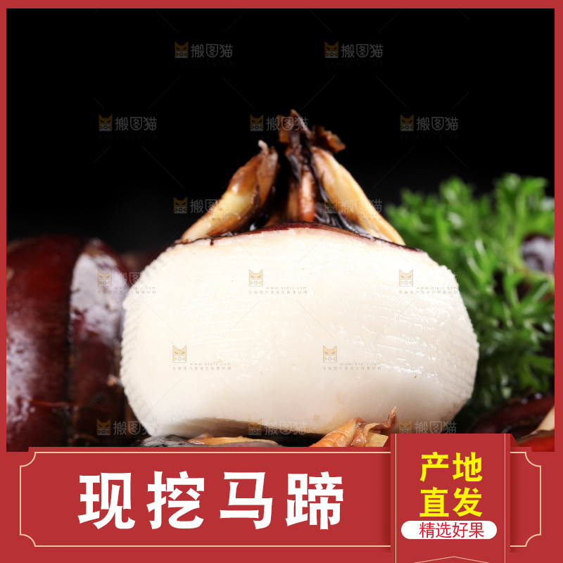 深底上的广西荔浦马蹄
