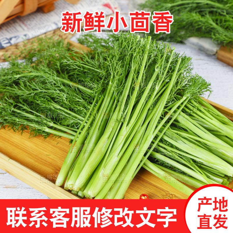 盘子里的云南小茴香菜