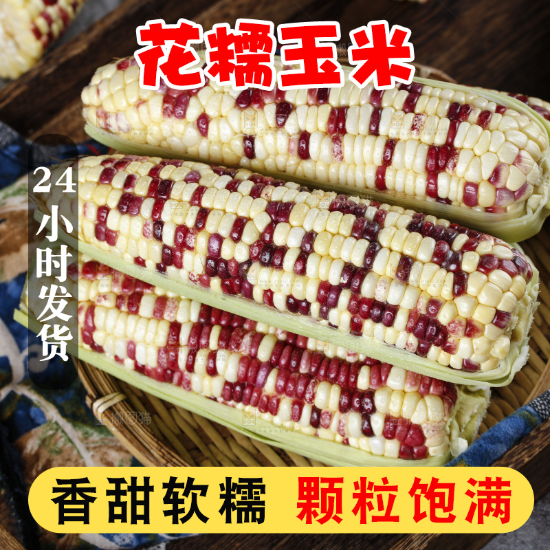 深底上的花糯玉米