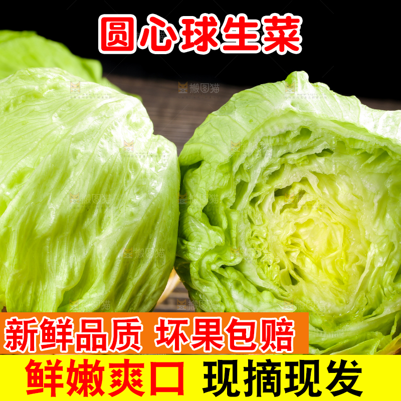 深底上的圆形生菜