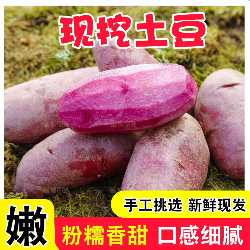 草地上放着红色马铃薯