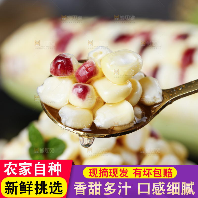 勺子里的花糯玉米粒