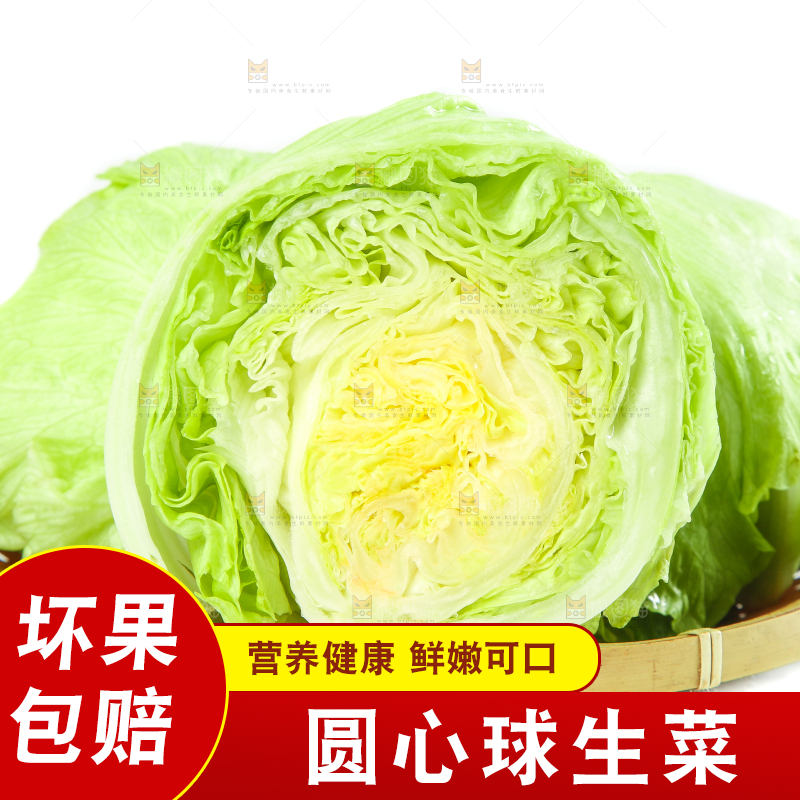 白底上的新鲜生菜