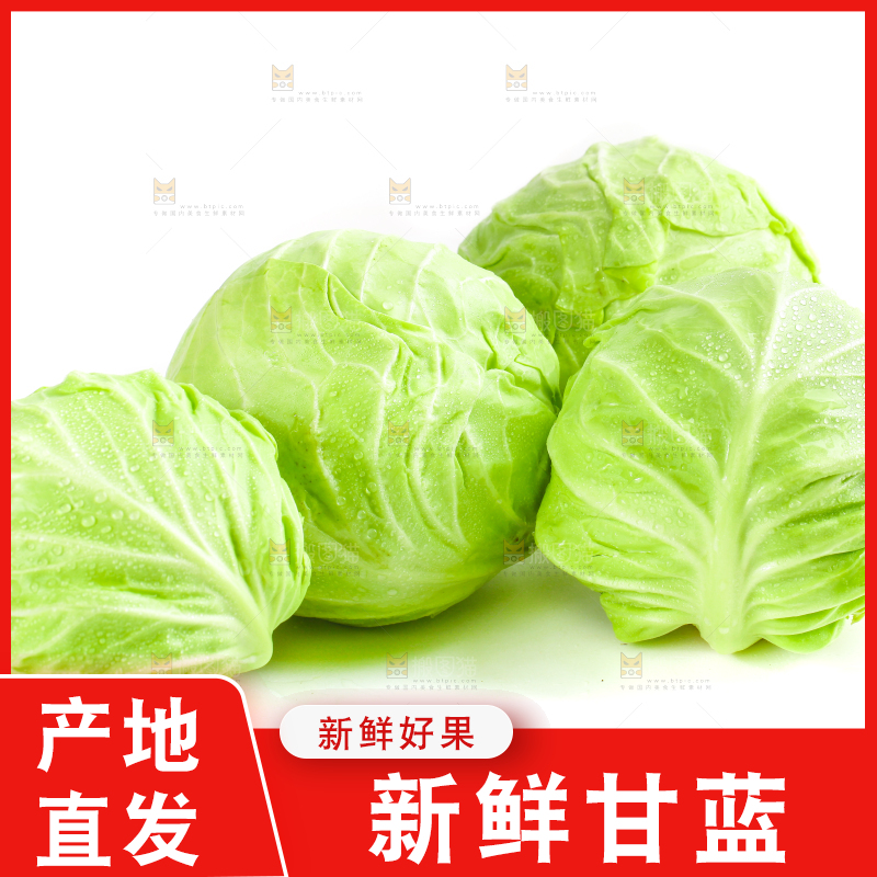 白底上摆放着包菜