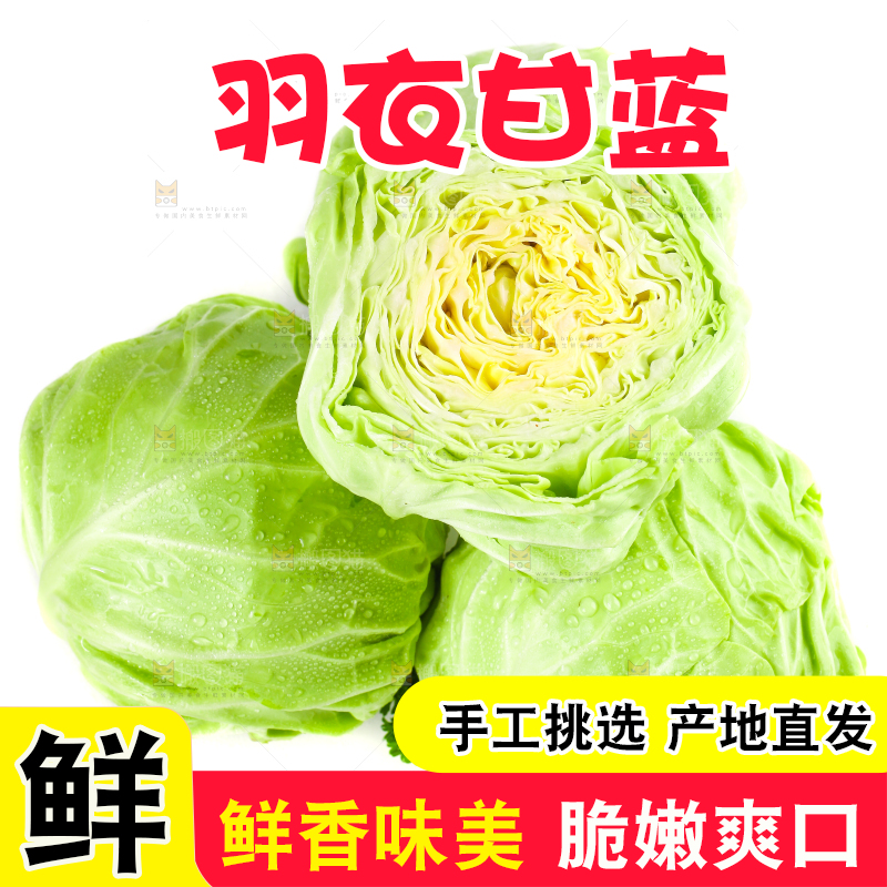 白底上摆放着包菜