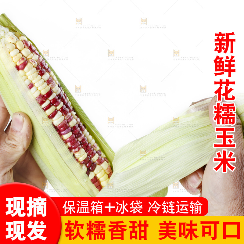手拿糯玉米