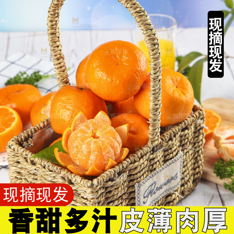 篮子里装着新鲜芦柑