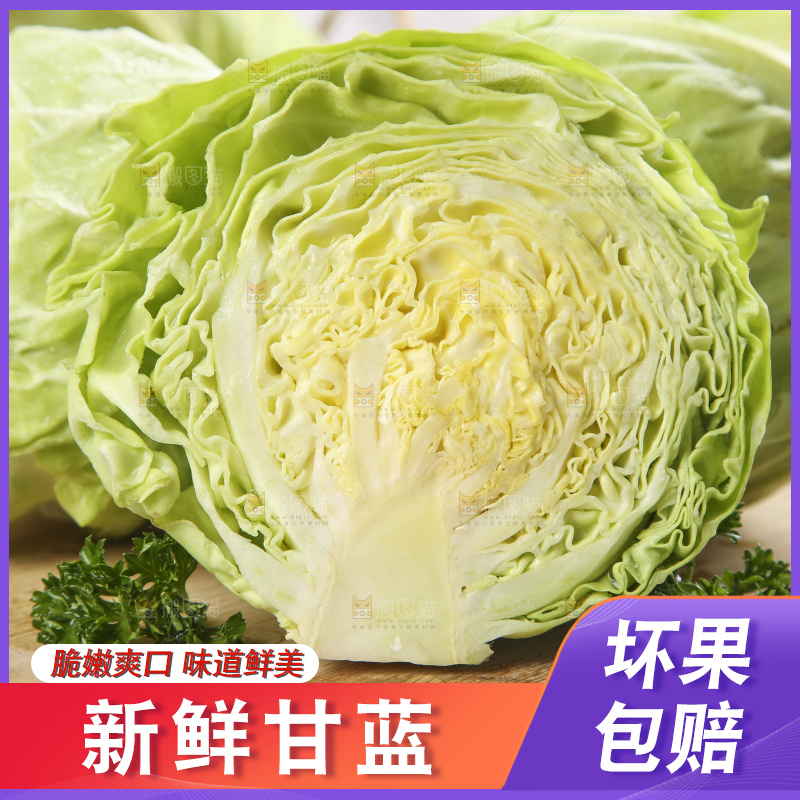 白格子底上的甘蓝包菜