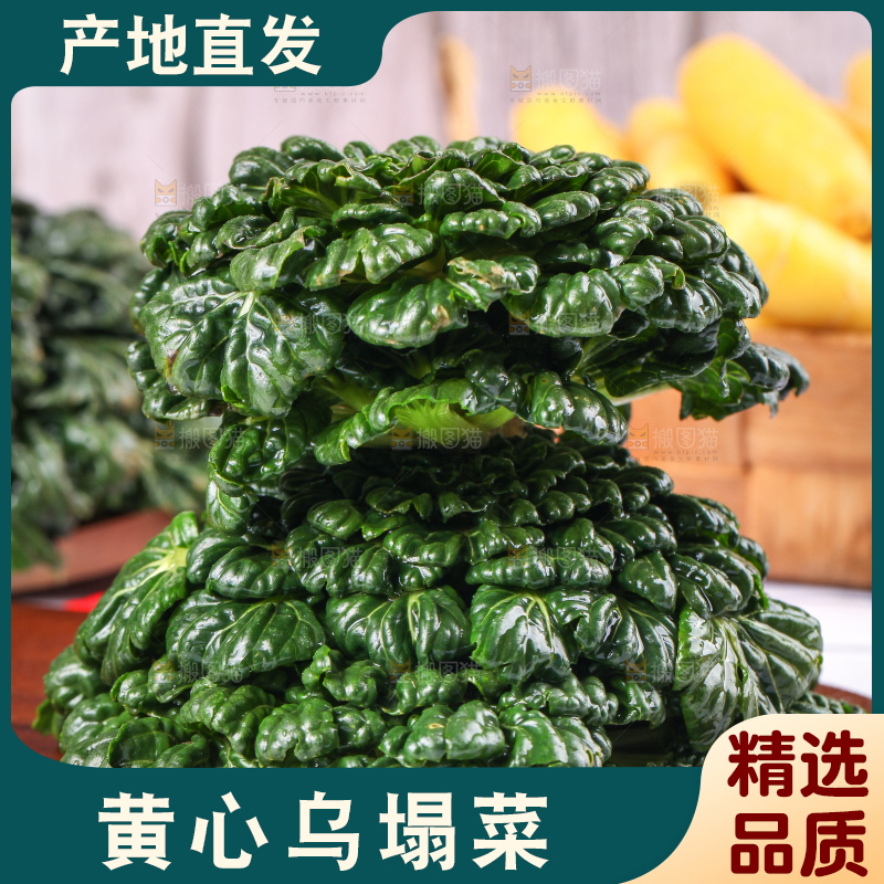 木板上的乌塌菜