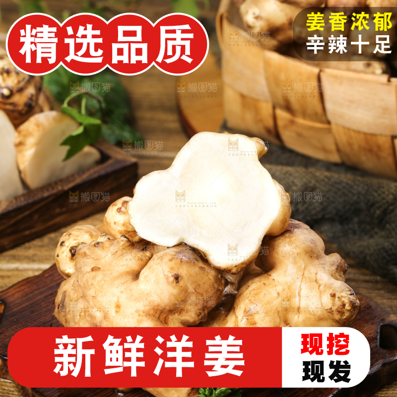 木板上的洋姜