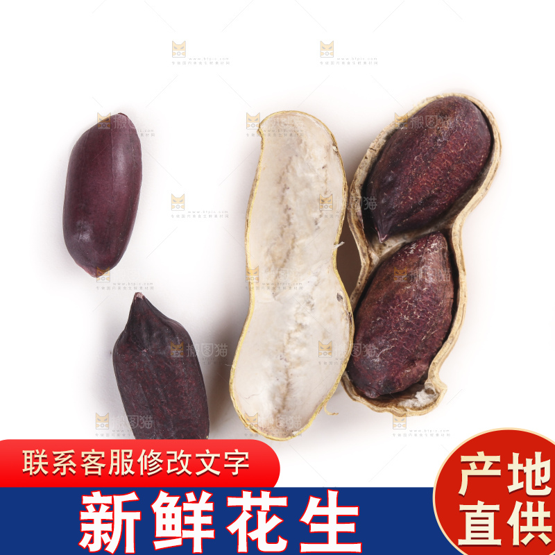 白底上的黑皮花生