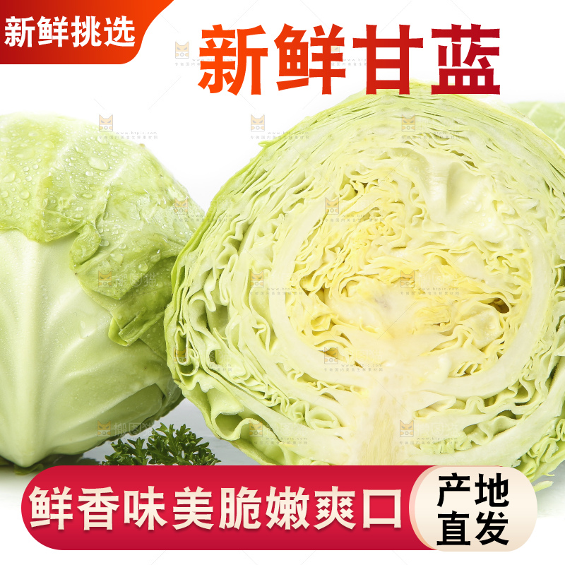 白底上摆放着包菜