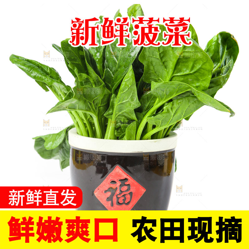 白底上放着菠菜