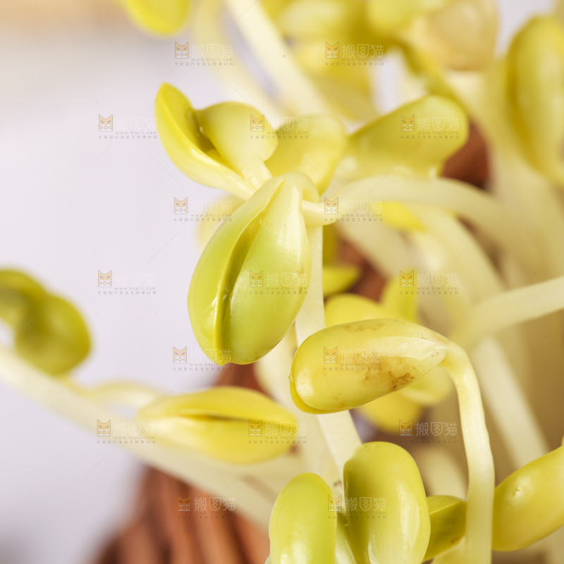 篮子里装着豆芽