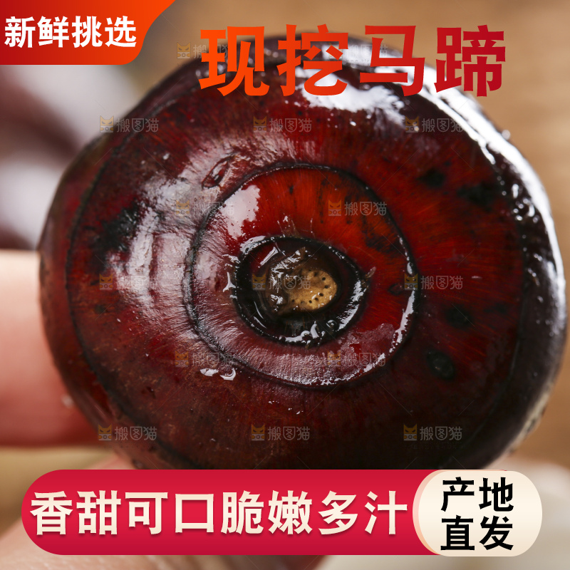手里拿着菩荠