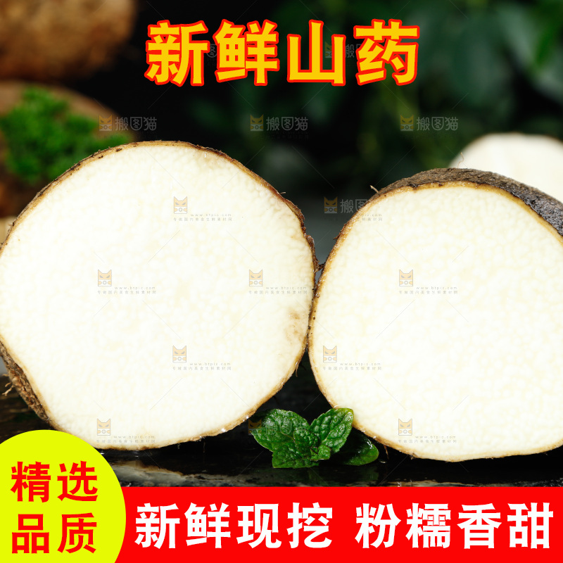 黑底上的金秤砣山药