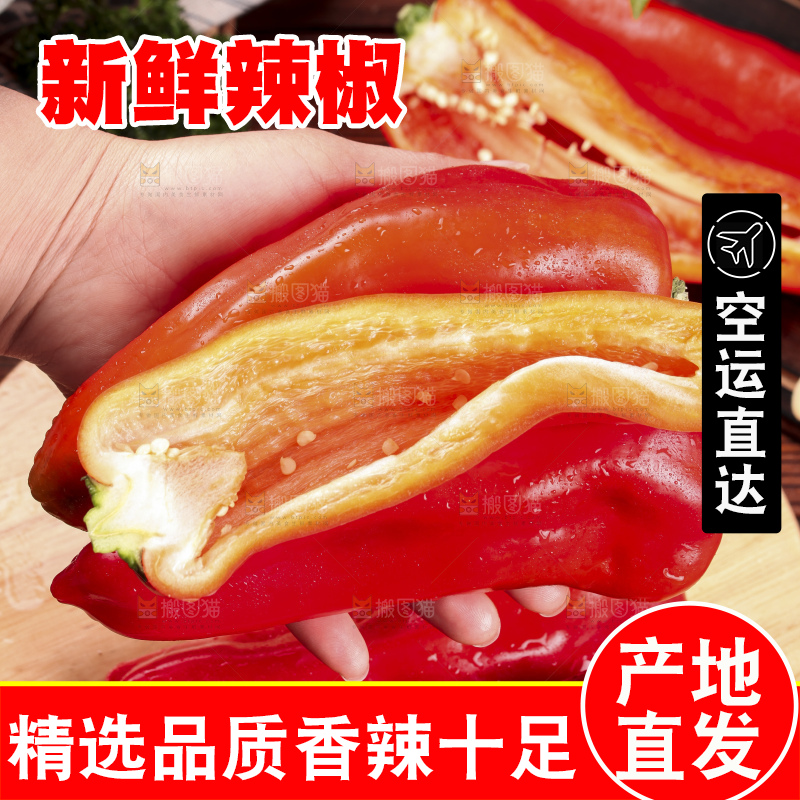 手里拿着新鲜红辣椒