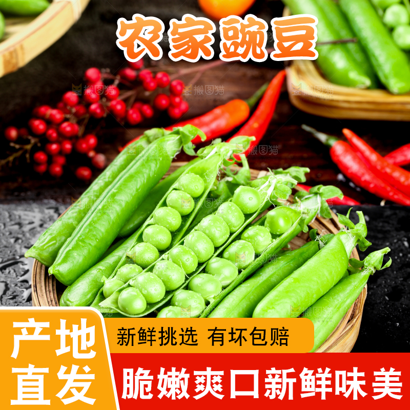 黑底上的青豌豆