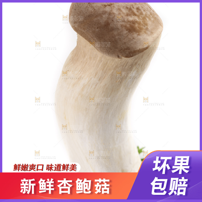 白底上放着大鸡腿菇