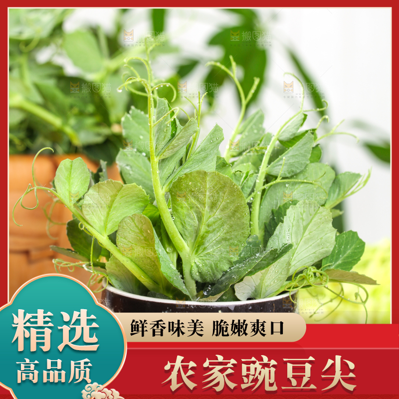 木板上放着四川豌豆尖
