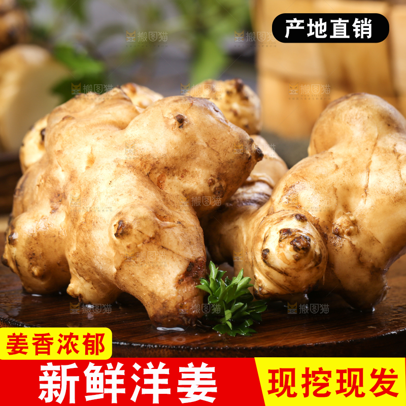 木板上的洋姜