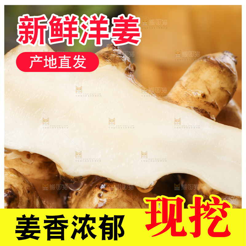 木板上的洋姜