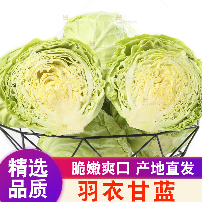 白底上摆放着包菜