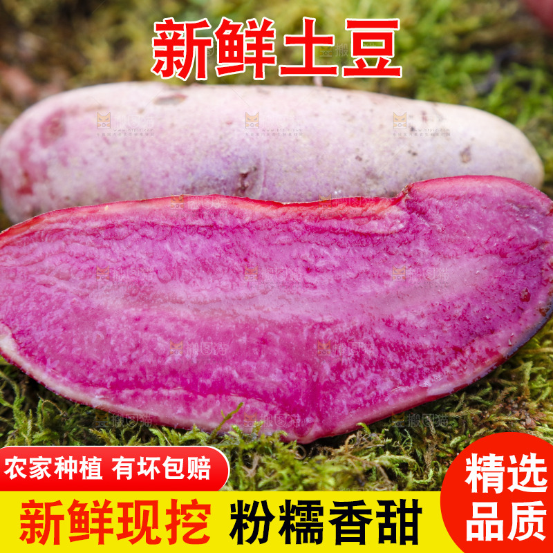 草地上放着红色马铃薯