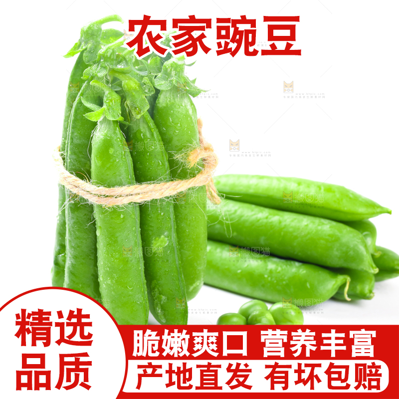 白底上放着一捆新鲜豌豆