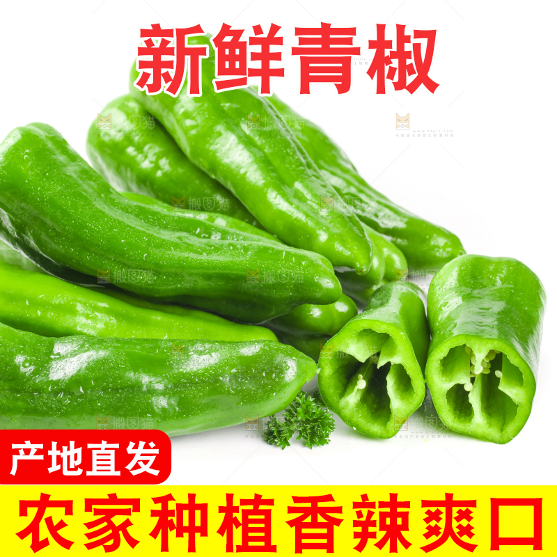 白底上的大青椒