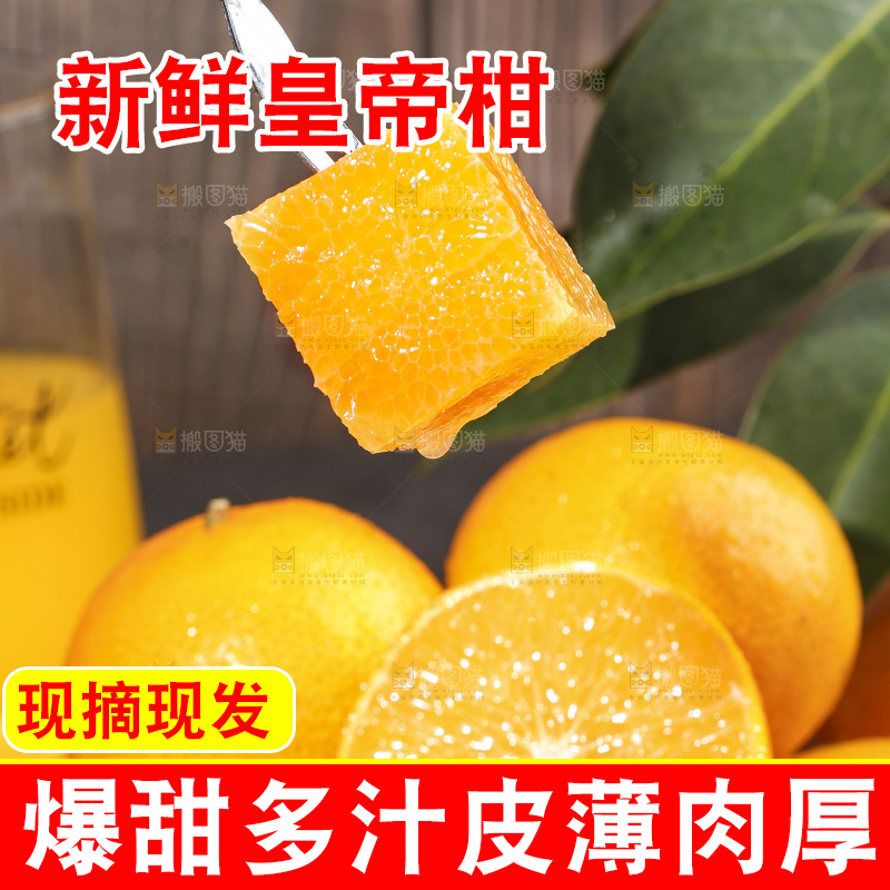 叉子叉着皇帝柑果肉