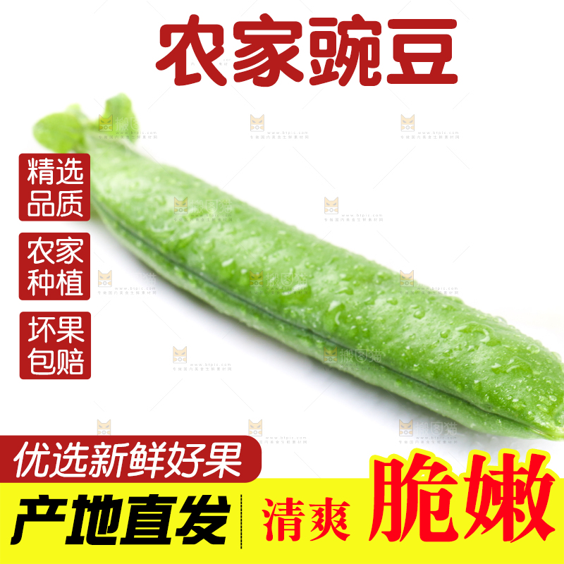 白底上的新鲜豌豆