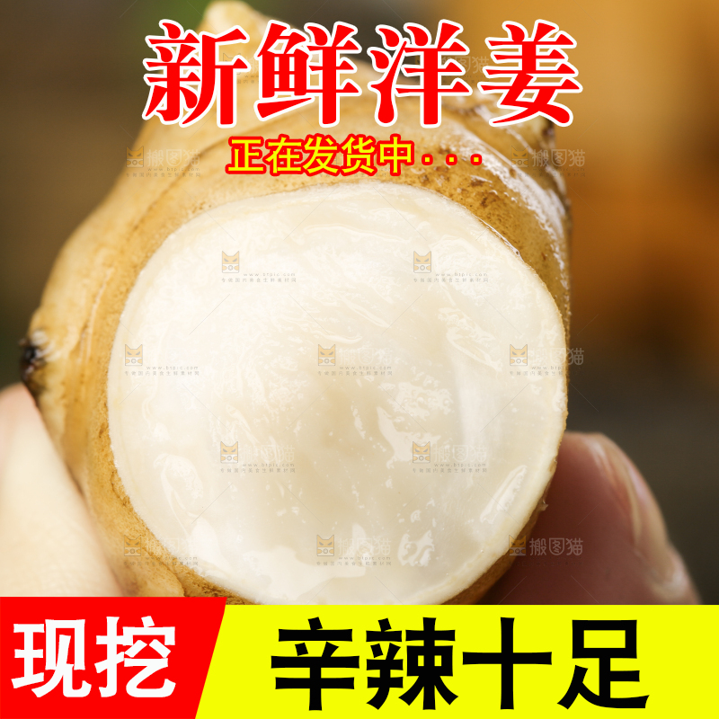 手里拿着地姜